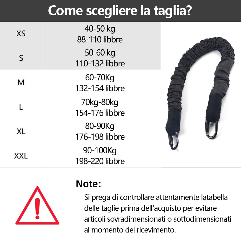 Conjunto De Equipos De Fitness Bungee, Banda De Resistencia Flexible, Cuerda De Baile Contra La Gravedad Para Bailar, Hogar, Gimnasio, Mejora La Agilidad, La Velocidad Y El Equilibrio