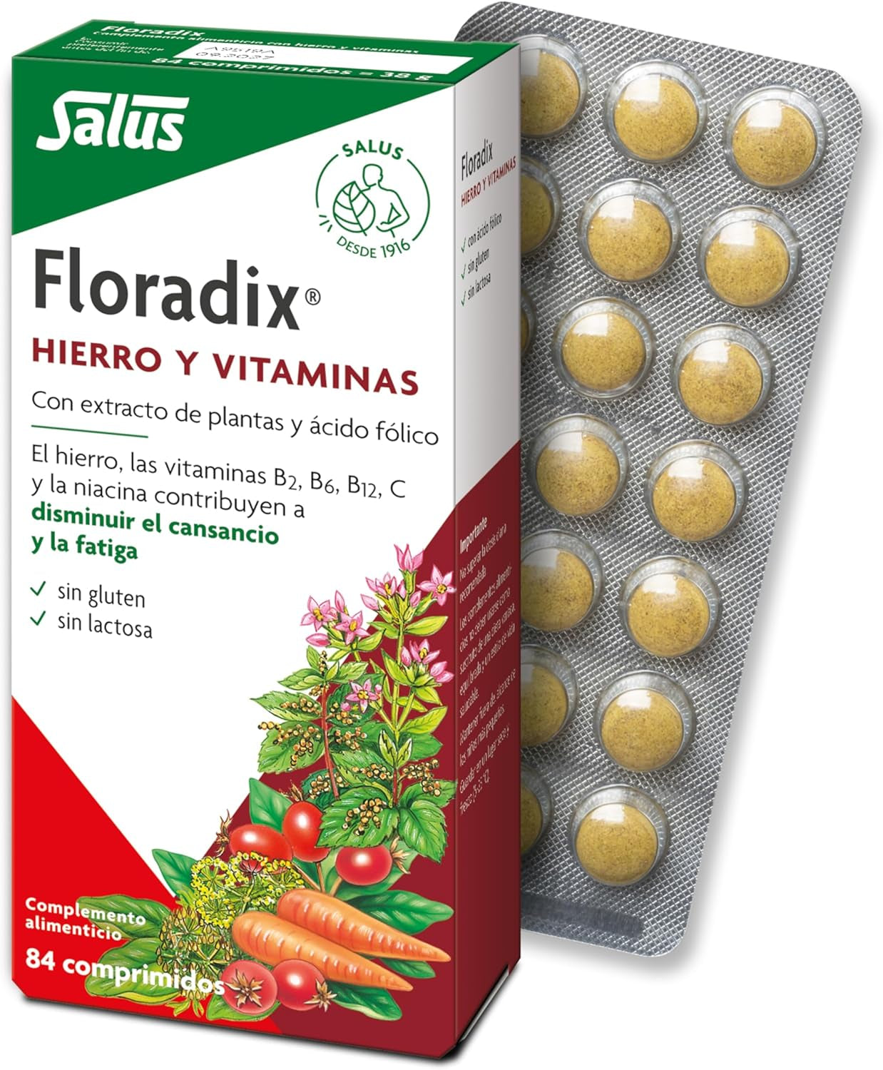 Salus - Floradix Suplemento De Hierro - 84 Comprimidos - Reduce El Cansancio Y La Fatiga - Contiene Hierro Orgánico, Ácido Fólico Y Vitaminas B1, B2, B5, B12 Y C - Combate La Anemia