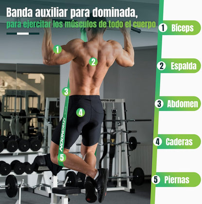 Bandas De Resistencia, 4 Gomas Elasticas Musculacion De Diferentes Resistencias, Con El Anclaje De Puerta Y Manijas, Adecuado Para, Entrenamiento, Fisioterapia