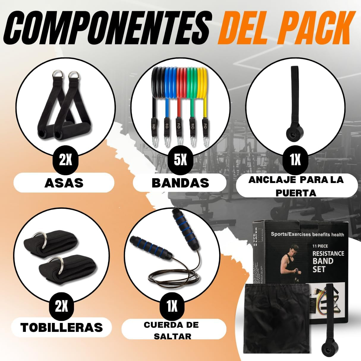 HIITLION Bandas Elásticas Musculación + Cuerda De Saltar - Entrenamiento Completo En Casa - Set De Resistencia Con 5 Diferentes Niveles De Gomas Para Gym En Casa, Ejercicio Muscular Y Cardio