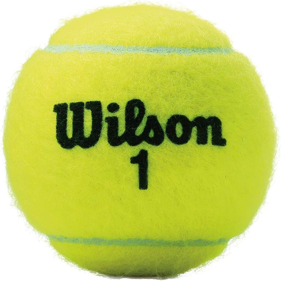 Pelotas De Tenis Wilson Championship 72