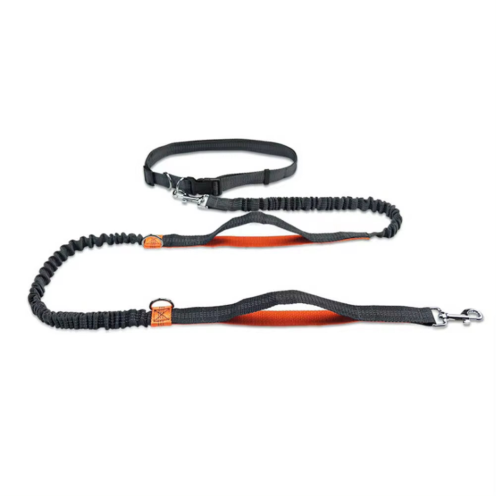 Reflective Leash Traction Rope Pet Dog Running Belt Elastic Hands Freely Jogging Pull Dog Leash Metal D-Ring Leashes Harness