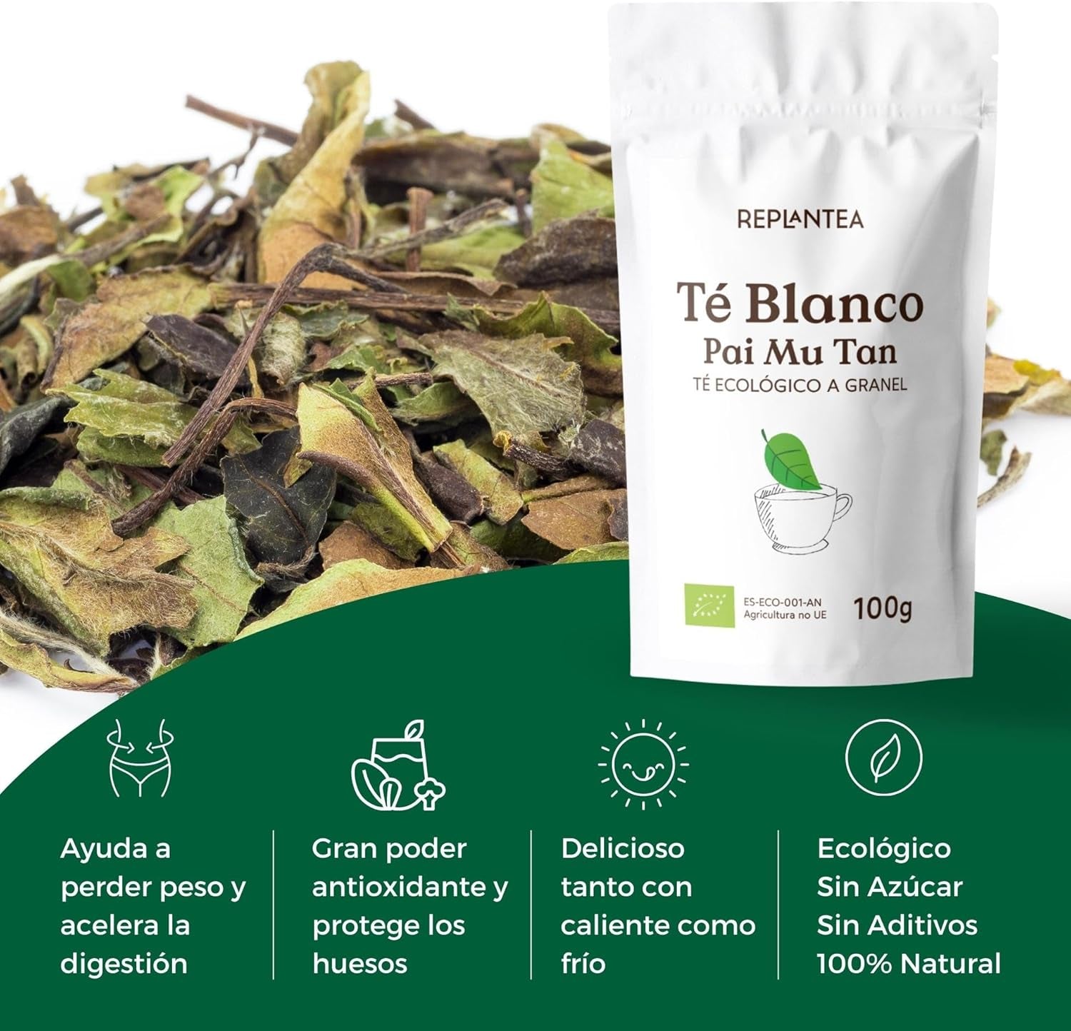 TE BLANCO PURO Ecológico 100G (+60 Tazas) | Té Blanco Pai Mu Tan Puro a Granel, Bai Mu Dan De China REPLANTEA