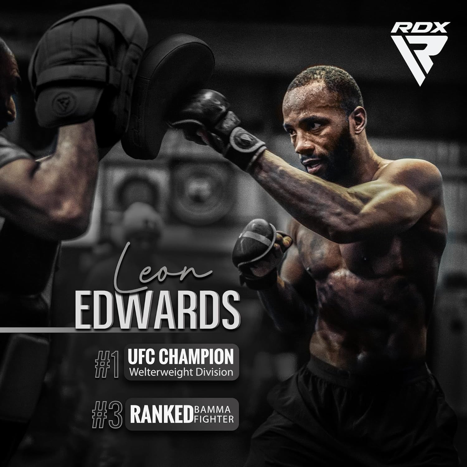 RDX Manoplas De Boxeo Muay Thai MMA Entrenamiento Paos, Maya Hide Cuero Curvadas Boxing Pads, Kara Gancho Y Jab Patada Almohadilla Para Kick Boxing Sparring Artes Marciales Taekwondo Karate Training