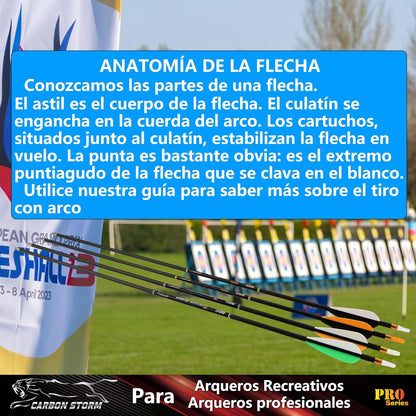 Flechas De Caza Arco Compuesto Y Arco Recurvado. Eje De Carbono De 30 Pulgadas, Espina 400/500 Con Puntas Removibles. Paquete De 12 Unidades