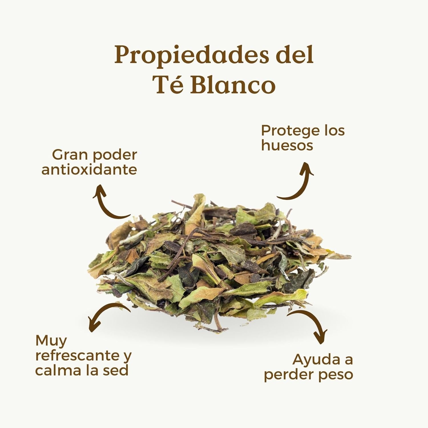 TE BLANCO PURO Ecológico 100G (+60 Tazas) | Té Blanco Pai Mu Tan Puro a Granel, Bai Mu Dan De China REPLANTEA