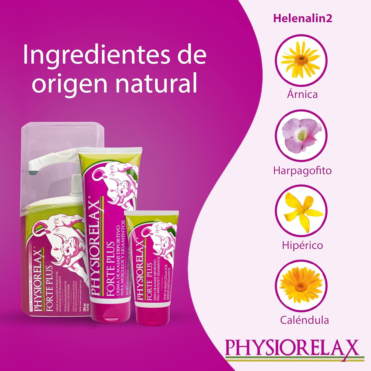 Physiorelax - Forte Plus, Crema De Masaje, Preparación Y Recuperación De Músculos Y Ligamentos, Antes Y Después Del Ejercicio, Uso Personal Y Profesional, Con Árnica E Ingredientes Naturales - 75 Ml