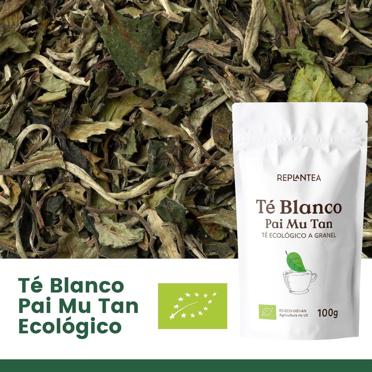 TE BLANCO PURO Ecológico 100G (+60 Tazas) | Té Blanco Pai Mu Tan Puro a Granel, Bai Mu Dan De China REPLANTEA