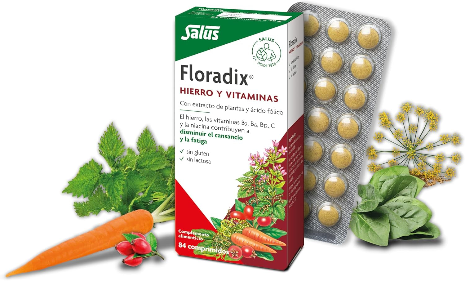 Salus - Floradix Suplemento De Hierro - 84 Comprimidos - Reduce El Cansancio Y La Fatiga - Contiene Hierro Orgánico, Ácido Fólico Y Vitaminas B1, B2, B5, B12 Y C - Combate La Anemia